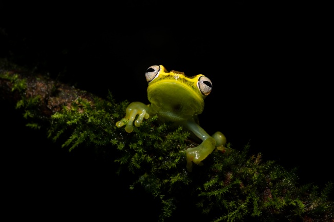 foto:Yasmin Mayella Valdivia Rodriguez  - lo hecho en México