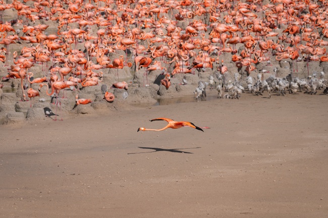 foto:Martin Luis Moguel Bernal   - lo hecho en México