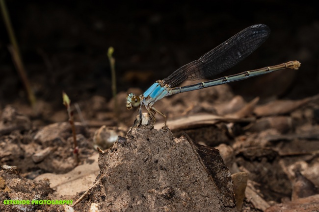 foto:Erick de León Tamez   - lo hecho en México