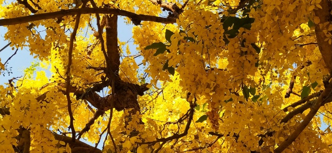 foto:Lorena Navarrete Huerta  - lo hecho en México