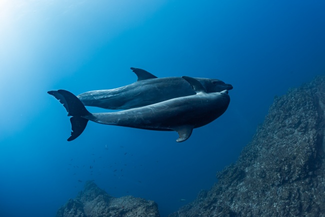 foto:Alejandro Topete Camarena  - lo hecho en México