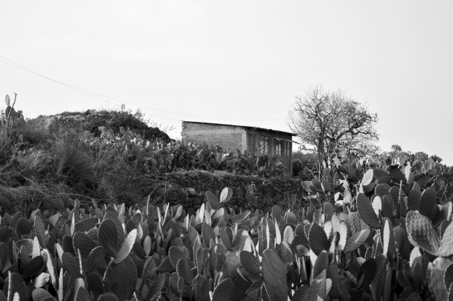 foto:Victor Pimentel  - lo hecho en México