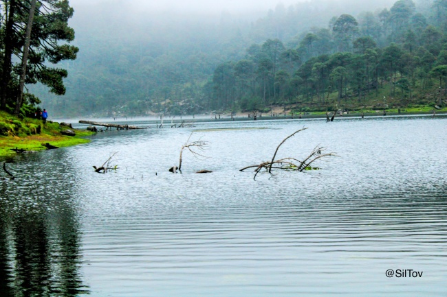 foto:Silvia Tovar  - lo hecho en México