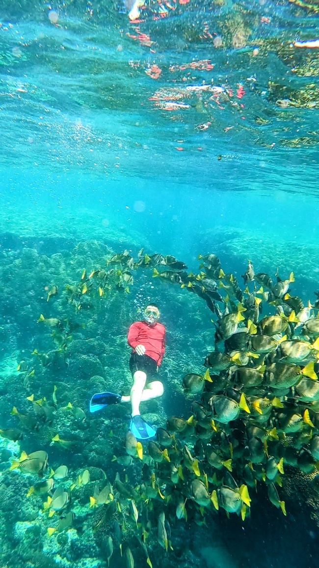 foto:ROBERTO REYNOSO SANTOS  - lo hecho en México