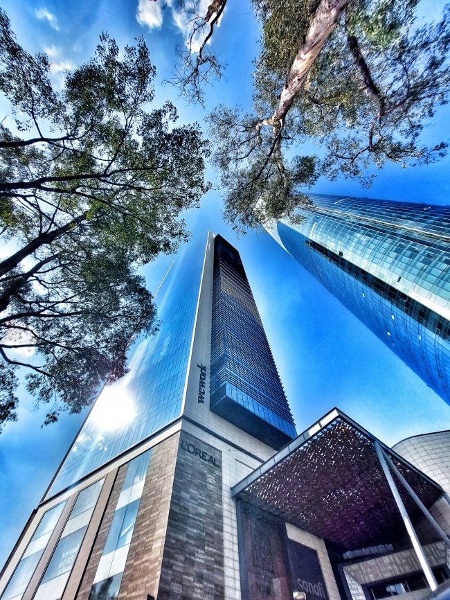 foto:MARÍA DEL CARMEN RODRÍGUEZ CERVERA   - lo hecho en México