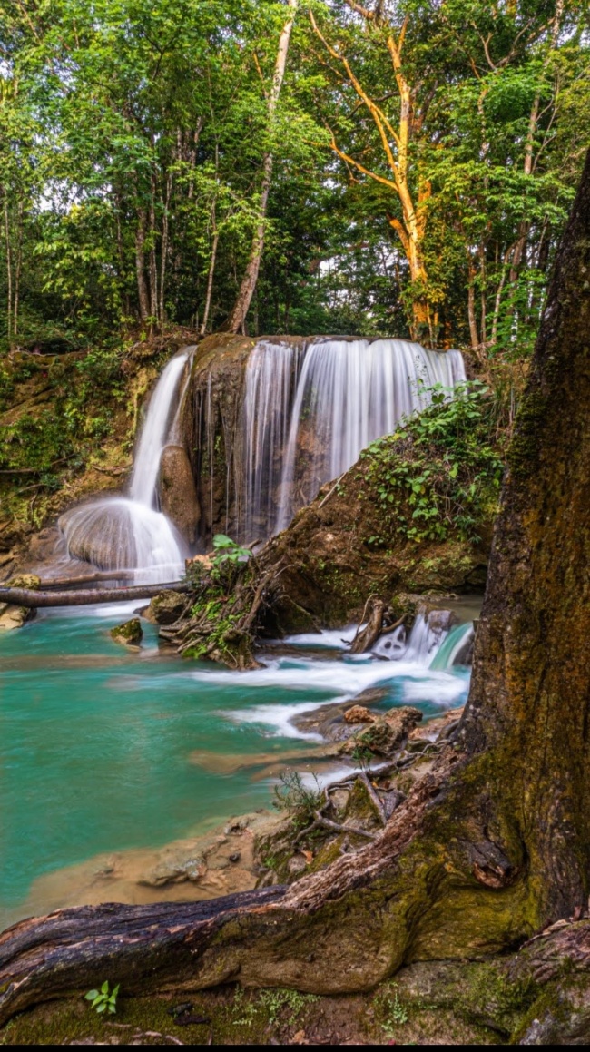 foto:José Abelardo Álvarez Santana  - lo hecho en México