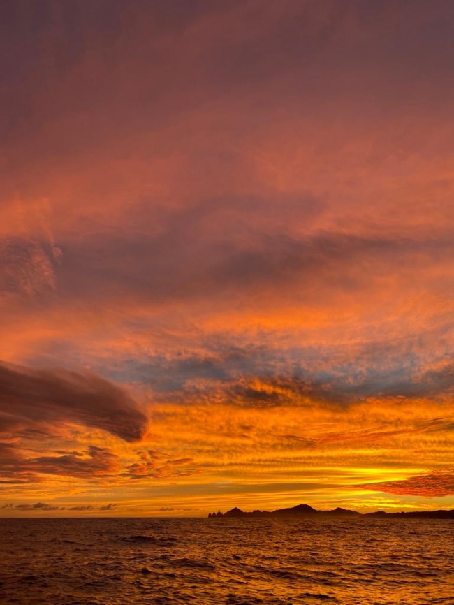 foto:Ana Alicia Benavides Bustamante  - lo hecho en México