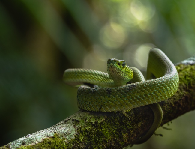 foto:Arántzazu Echeverría Alvarez  - lo hecho en México