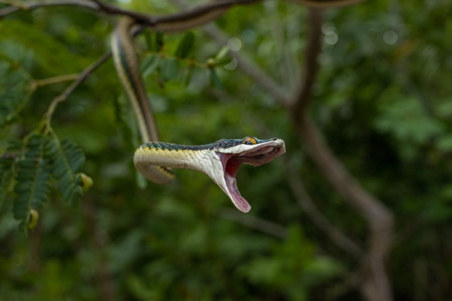 foto:Aarón Yabin Núñez Díaz  - lo hecho en México