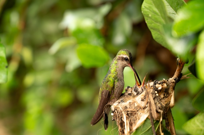 foto:Manlio Martínez Barona  - lo hecho en México
