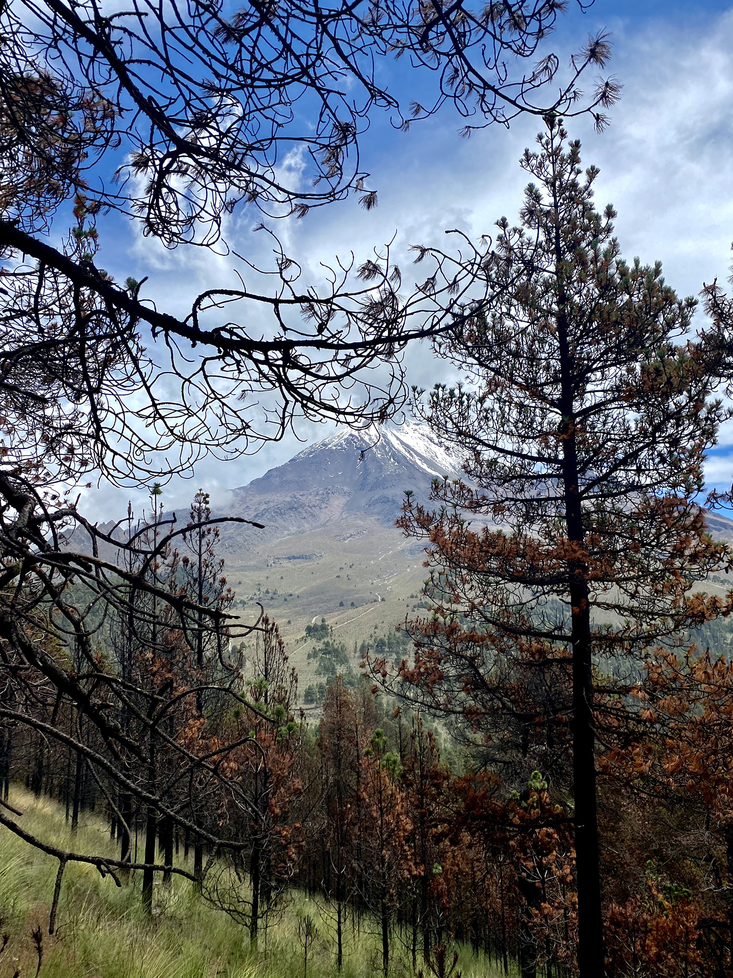 foto:Alejandro Barragán Acevedo  - lo hecho en México