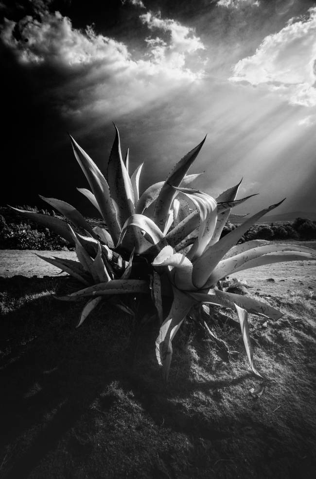 foto:Aldo Diaz Rosas  - lo hecho en México