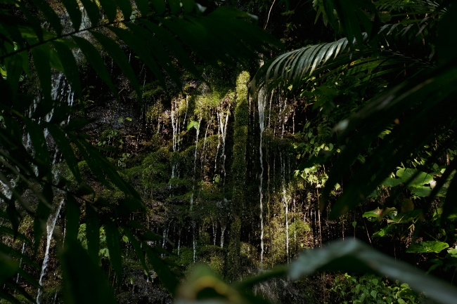 foto:Mauricio Hidalgo Vicelis  - lo hecho en México