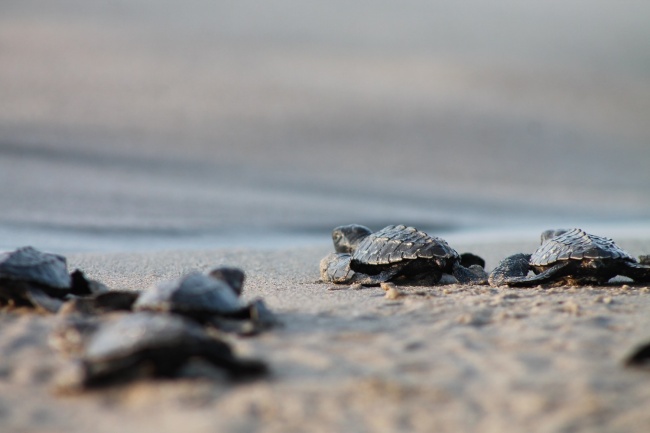 foto:Maria Suset Hernandez Mondragon  - lo hecho en México