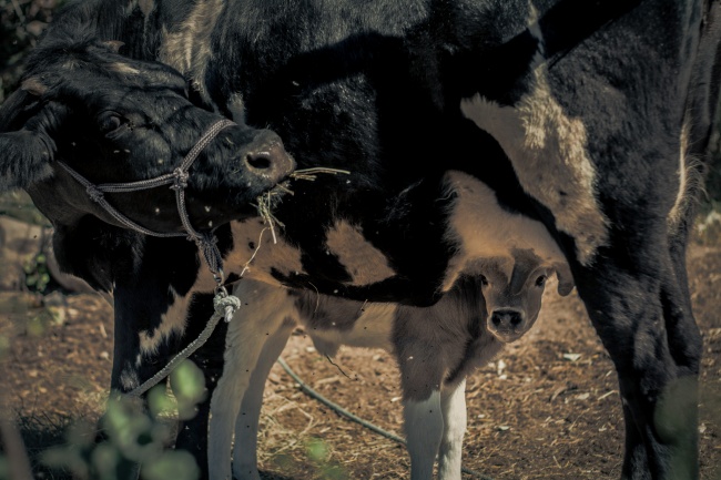 foto:Celeste Ortega Espinosa  - lo hecho en México