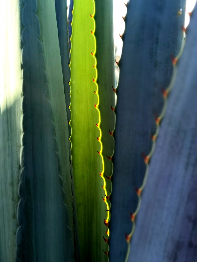 foto:Gerardo Villaseñor Ramírez   - lo hecho en México