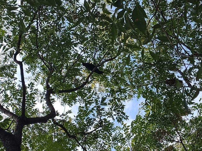 foto:Valeria Miroslava López Rodríguez   - lo hecho en México