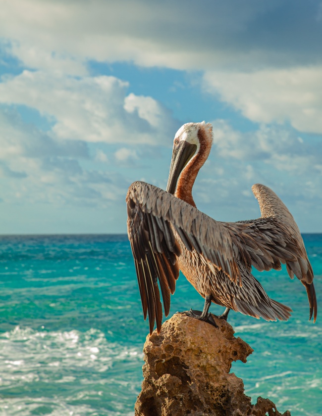 foto:MAURICIO DEMETRIO BORJA BARRON  - lo hecho en México