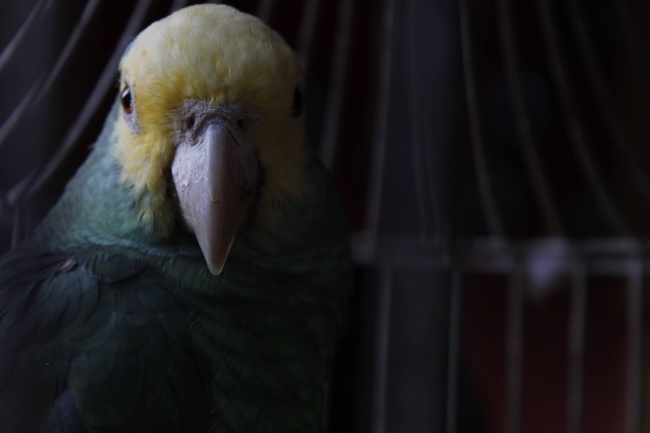 foto:Geovana Alejandra Brito Vega   - lo hecho en México