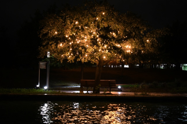 foto:Eduardo Antonio Mireles Torres - lo hecho en México