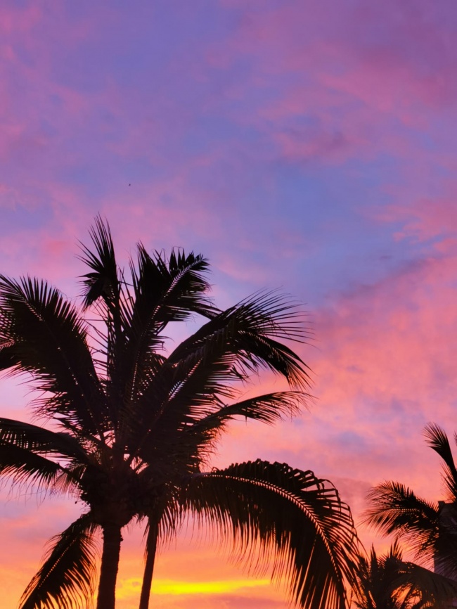 foto:Andrea Núñez Cantú  - lo hecho en México