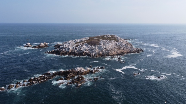 foto:ricardo bustos suberza  - lo hecho en México