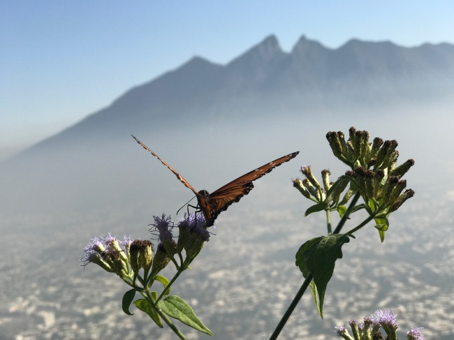 foto:Alejandra Maldonado Palacios  - lo hecho en México