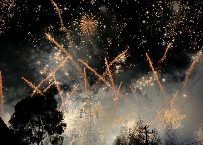 foto:Angélica Dení Cruz Enzástiga - lo hecho en México