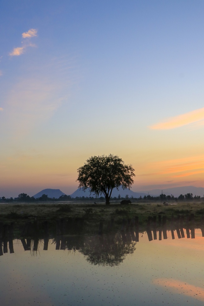 foto:Nathalie Euler Fellenberg - lo hecho en México