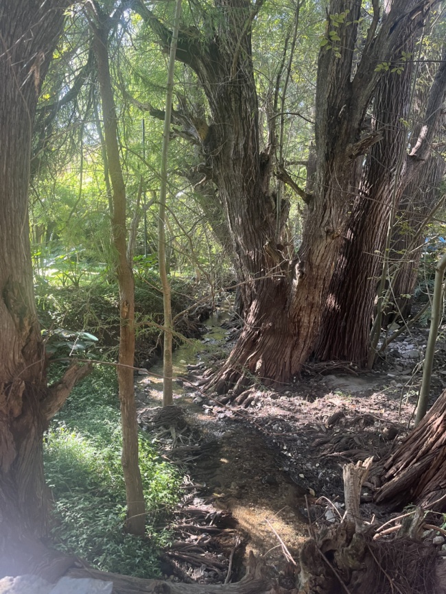 foto:Yazmin Quintero Aguilar - lo hecho en México