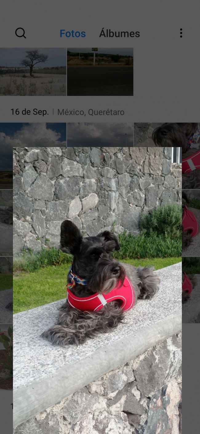 foto:Rosalía Rasgado Vázquez  - lo hecho en México