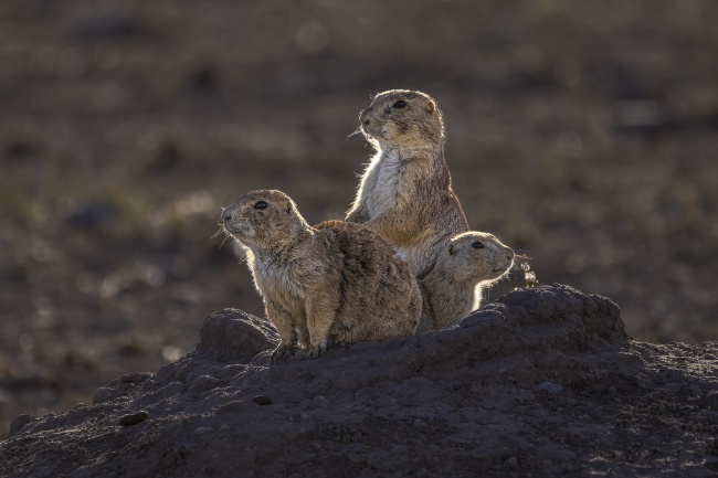 foto:Maria Gabriela Rocha Gomez  - lo hecho en México