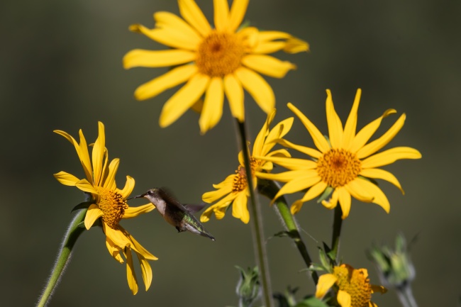 foto:JORGE VIDAL LLADO  - lo hecho en México