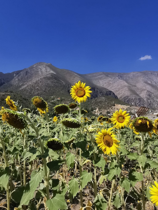 foto:Rola Ramirez Montes - lo hecho en México