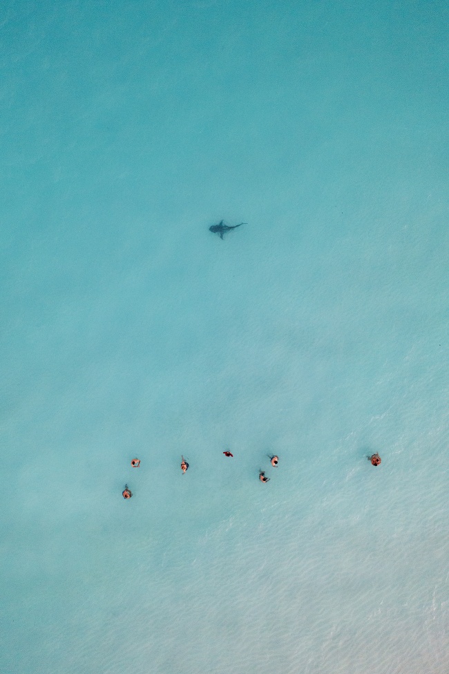 foto:FRANCESCA FRANCHINI MAESTRI  - lo hecho en México