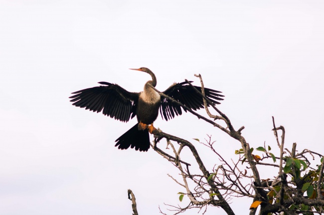 foto:Emanuel Hernández Salinas  - lo hecho en México