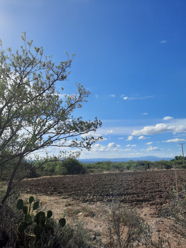 foto:Daniela Garcia Sanchez  - lo hecho en México