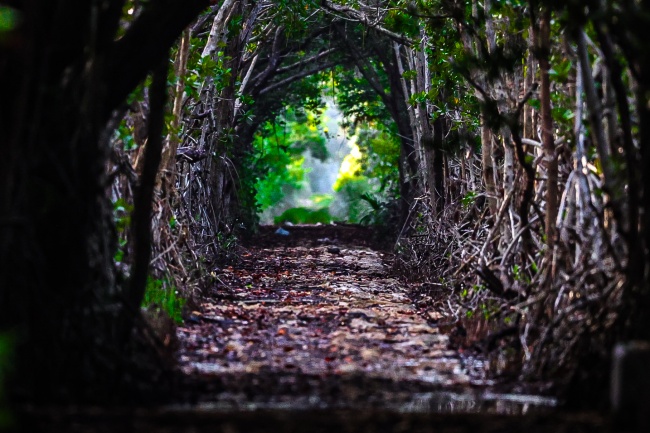 foto:Diego Alexander Coronel Rivera   - lo hecho en México