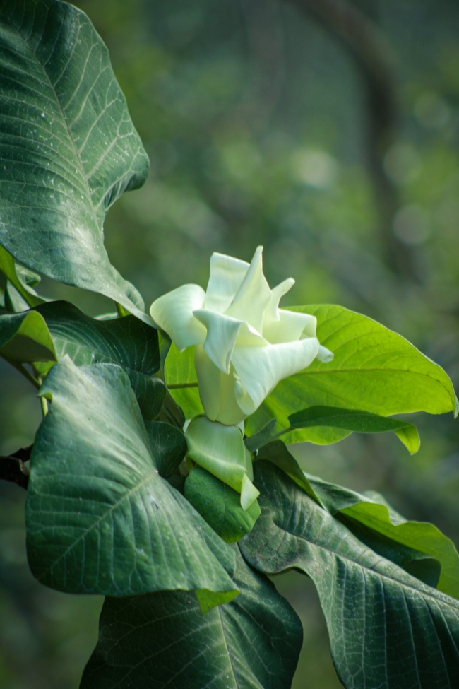 foto:Eder López Cruz   - lo hecho en México