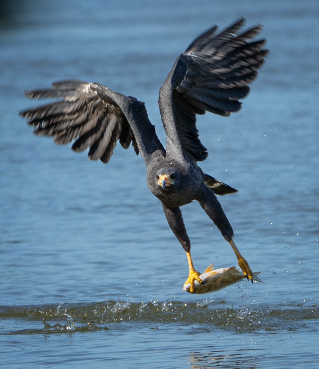 foto:Martin Luis Moguel Bernal  - lo hecho en México