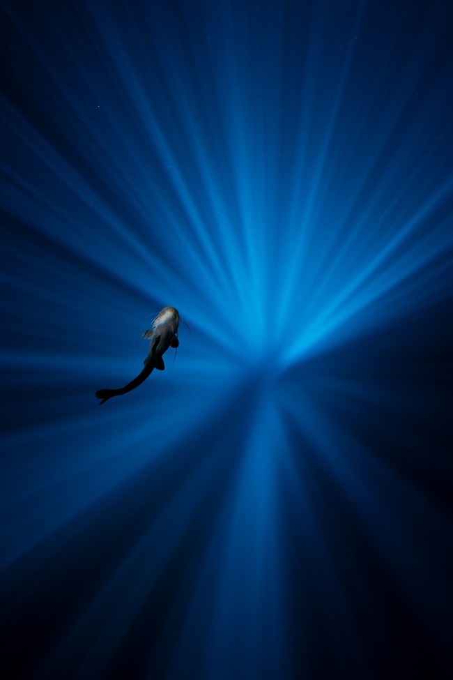 foto:Alejandro Morales Gomez  - lo hecho en México