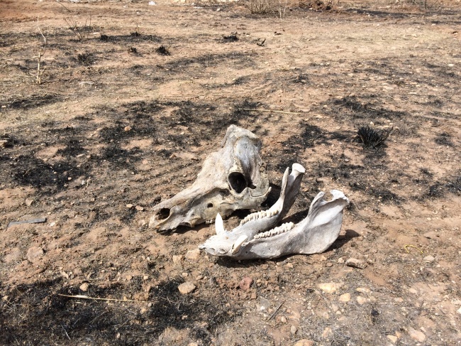 foto:Gerardo Enrique Barajas Vasquez   - lo hecho en México