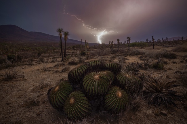 foto:Ernesto Luis Haghenbeck Correa  - lo hecho en México