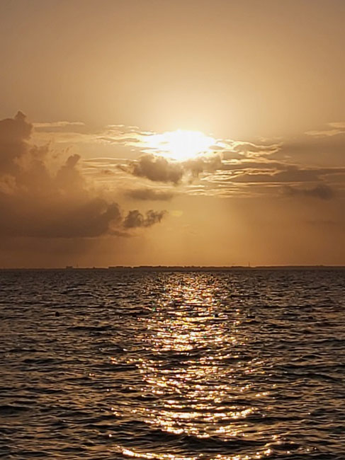 foto:Erika Leticia Estrada Caballero   - lo hecho en México