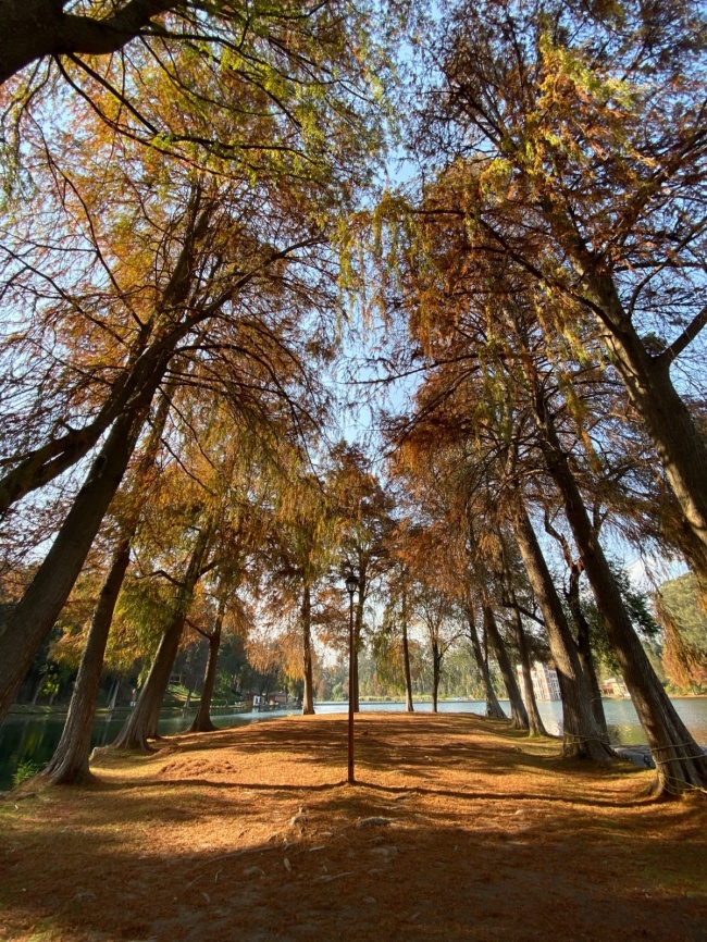 foto:jaasiel torres castañeda   - lo hecho en México