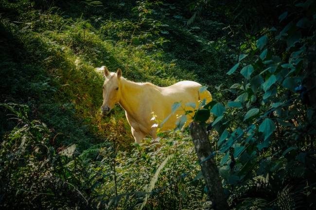 foto:Said López Hernández   - lo hecho en México