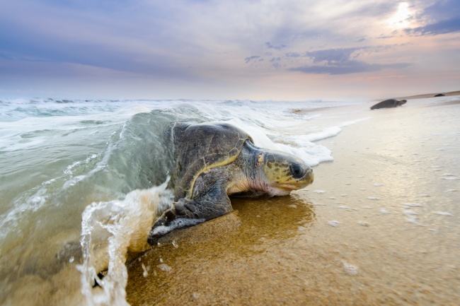 foto:Fernando Constantino Martínez Belmar  - lo hecho en México