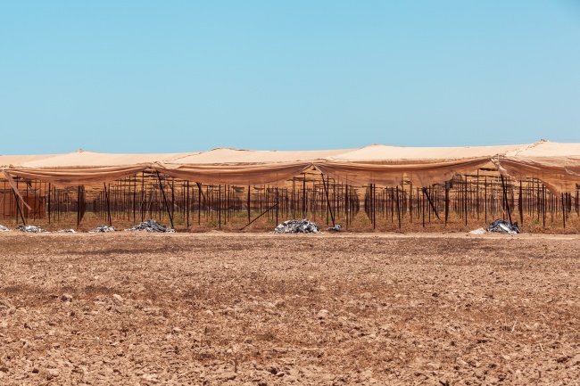 foto:Omar Brito Molina   - lo hecho en México