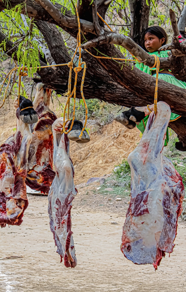 foto:Florencia De la Mora Ohrner   - lo hecho en México