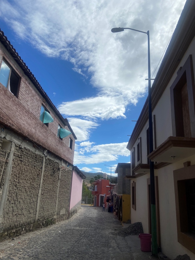 foto:MARIA TERESA MONDRAGON MARTINEZ  - lo hecho en México